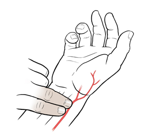 Taking pulse, with pads of first two fingers on inner wrist of opposite hand, just below thumb.