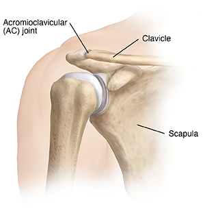 Front view of shoulder joint.