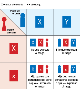 Ilustración donde se muestra la herencia dominante ligada al cromosoma X.